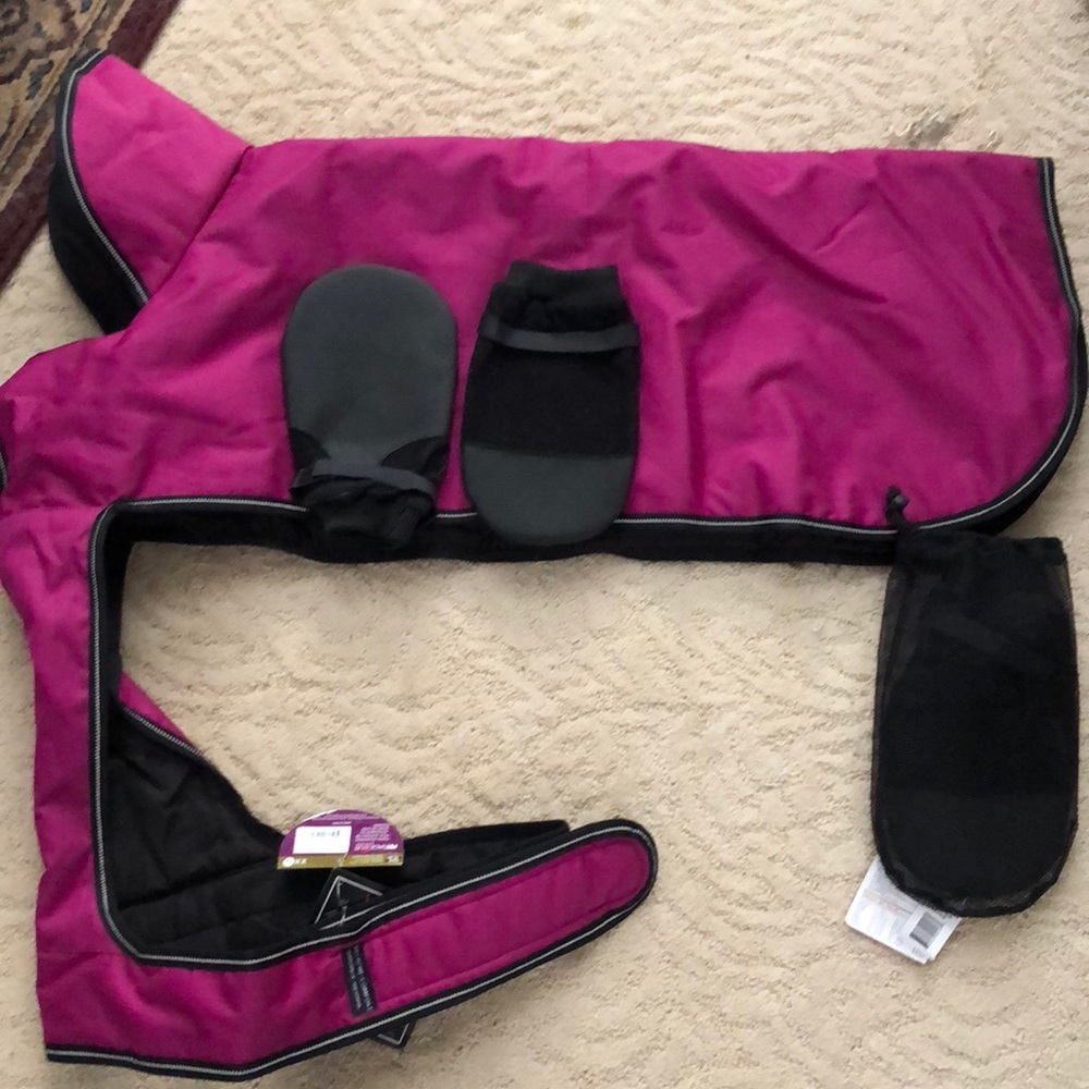 Winter dog coat and shoes